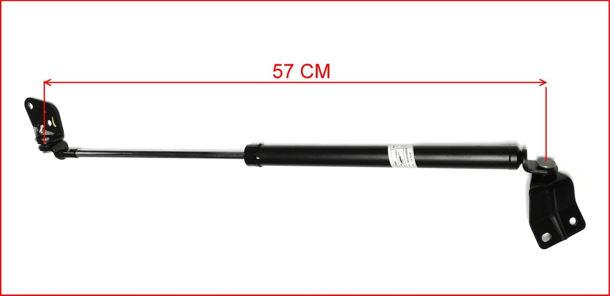AMORTIGUADOR PORTON IZQ SUZUKI ALTO 06 OEM