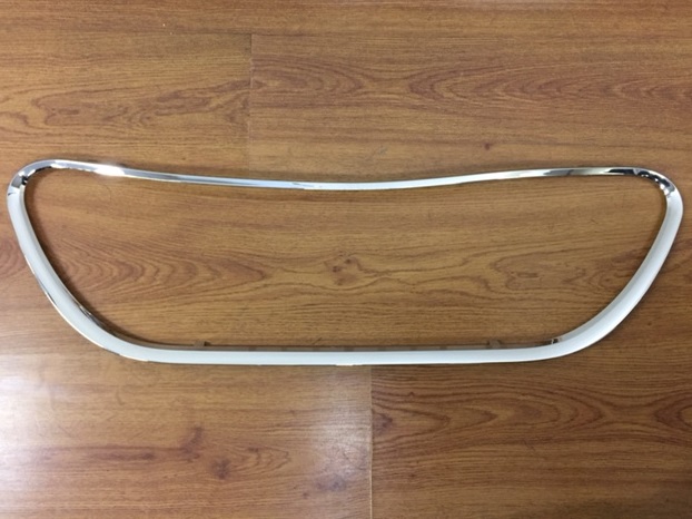 MOLDURA CARETA CITROEN C3 06 (CRO)