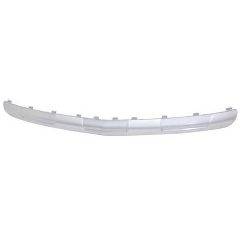 MOLDURA PARAG DEL GM TRACKER 14 (INF) (PLATA)