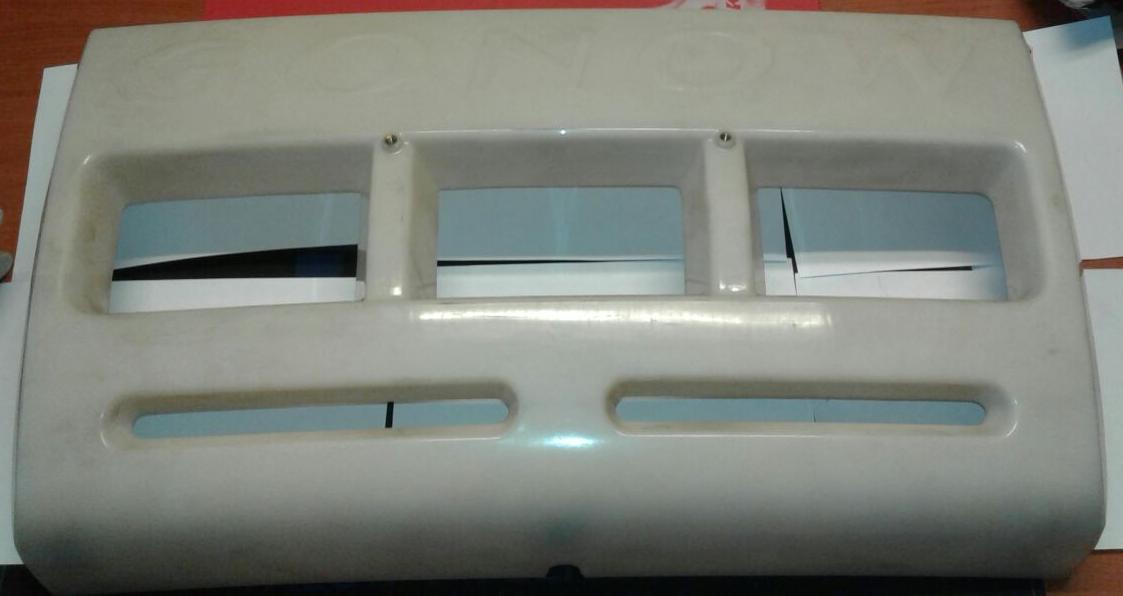 PROTECCION DEL "GONOW"