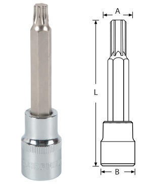 DADO 1/2 TORK MACHO T-20