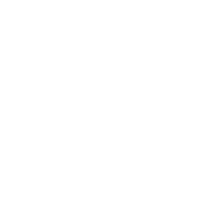 Torch